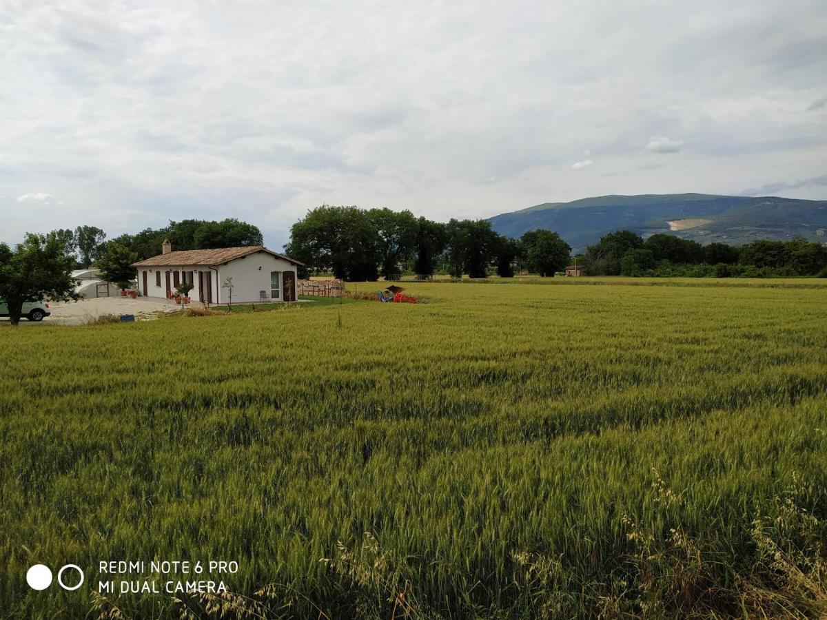 Agriturismo " Le Serre" Spello Kültér fotó
