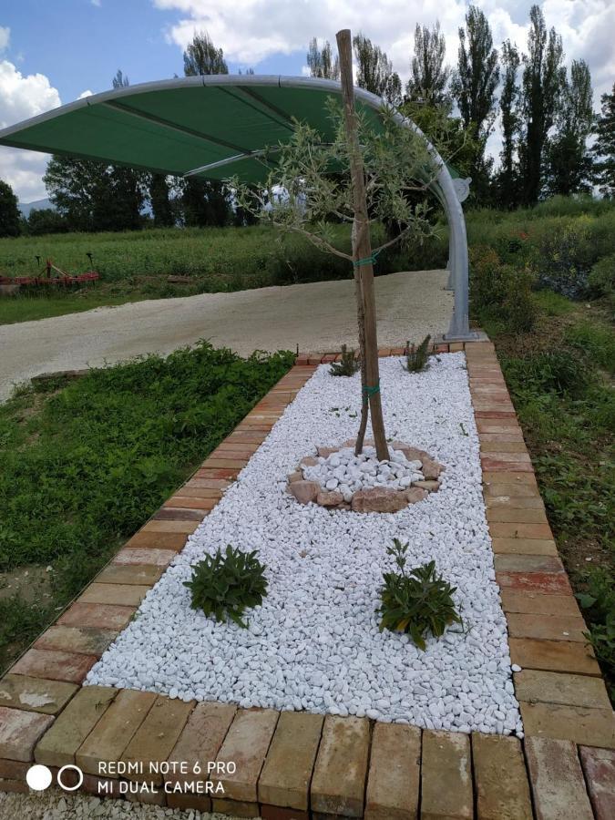 Agriturismo " Le Serre" Spello Kültér fotó