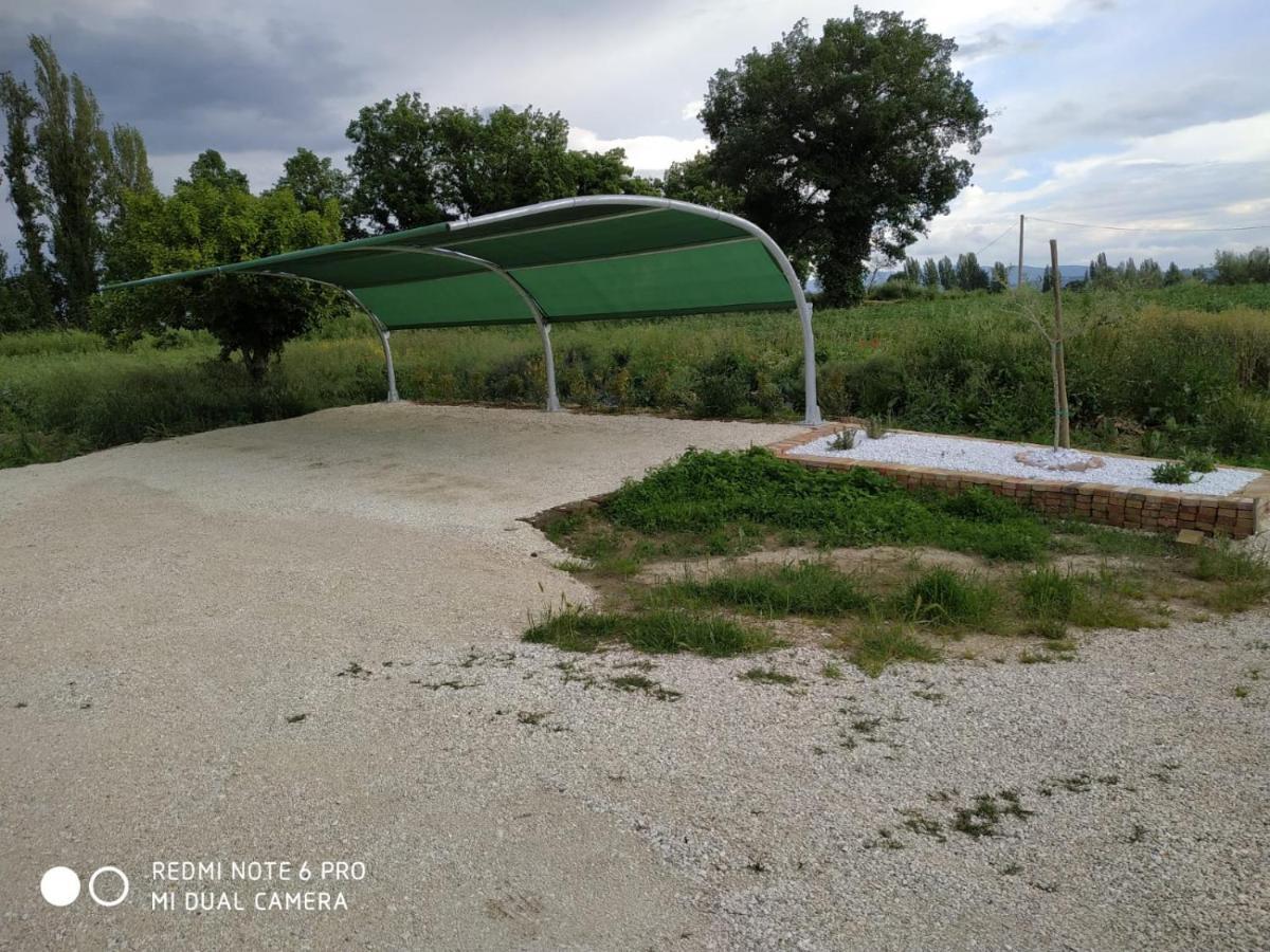 Agriturismo " Le Serre" Spello Kültér fotó