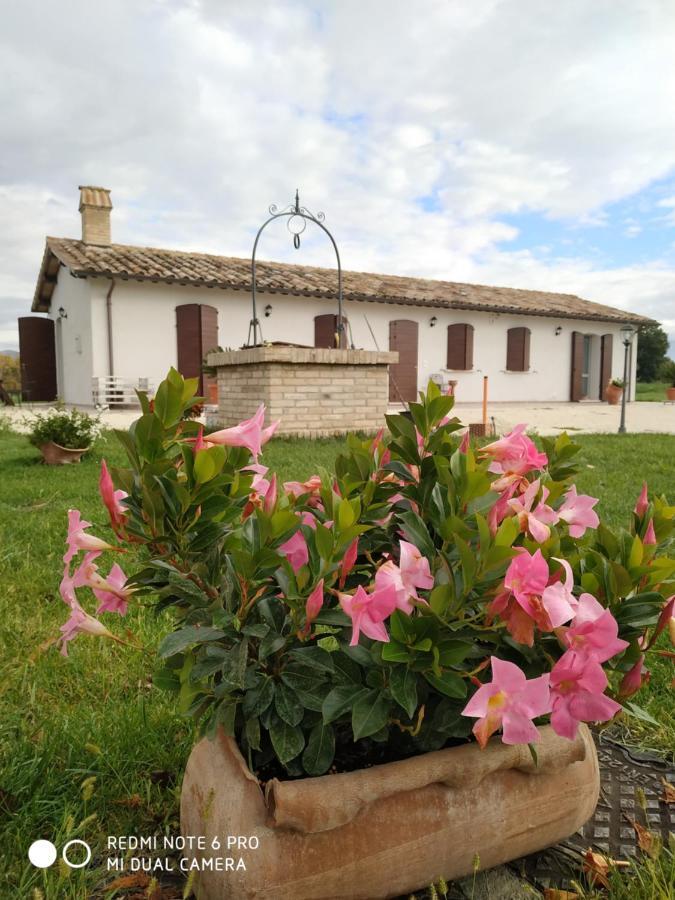 Agriturismo " Le Serre" Spello Kültér fotó